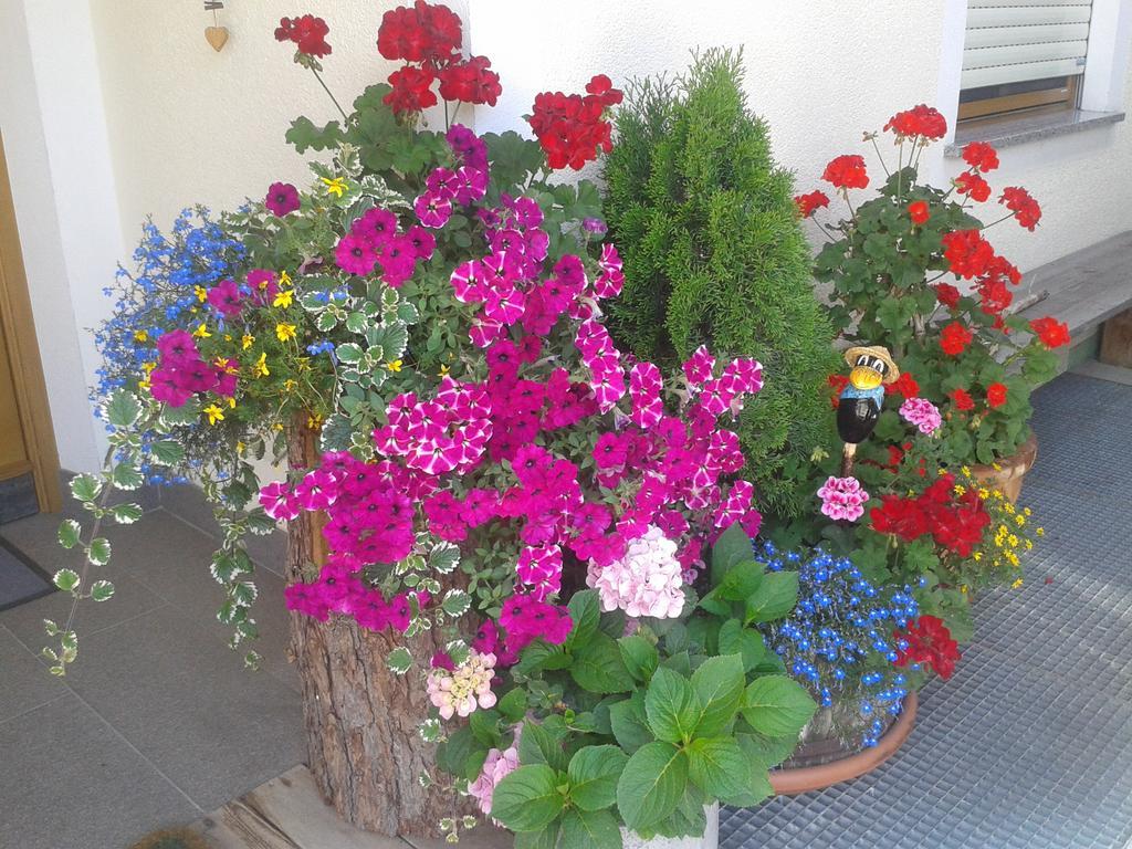 Appartements Faerberhof Olang Εξωτερικό φωτογραφία